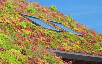 Haclait living roof systems